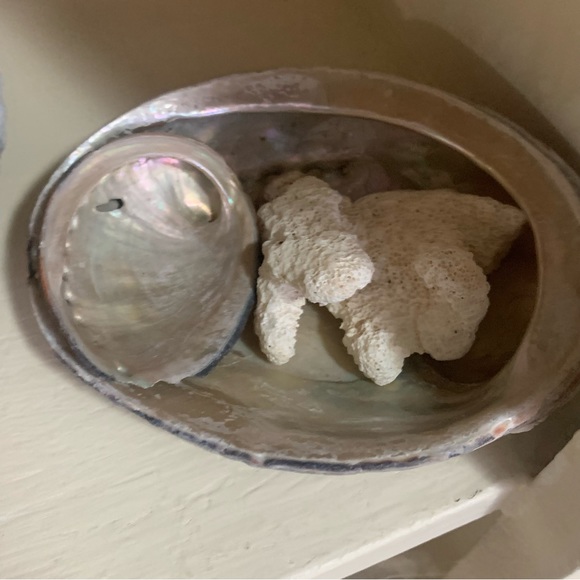 “ Salty Toes & Sandy Kisses” LISTING’s from the Sea! ✨Informational Post✨ - Picture 5 of 14